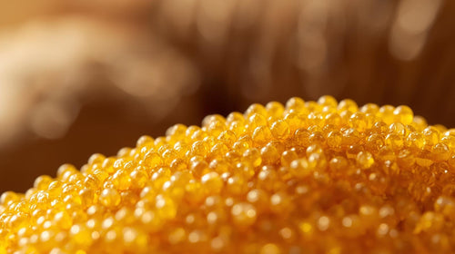 Sunflower Lecithin