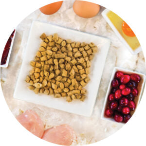 Freeze-Dried