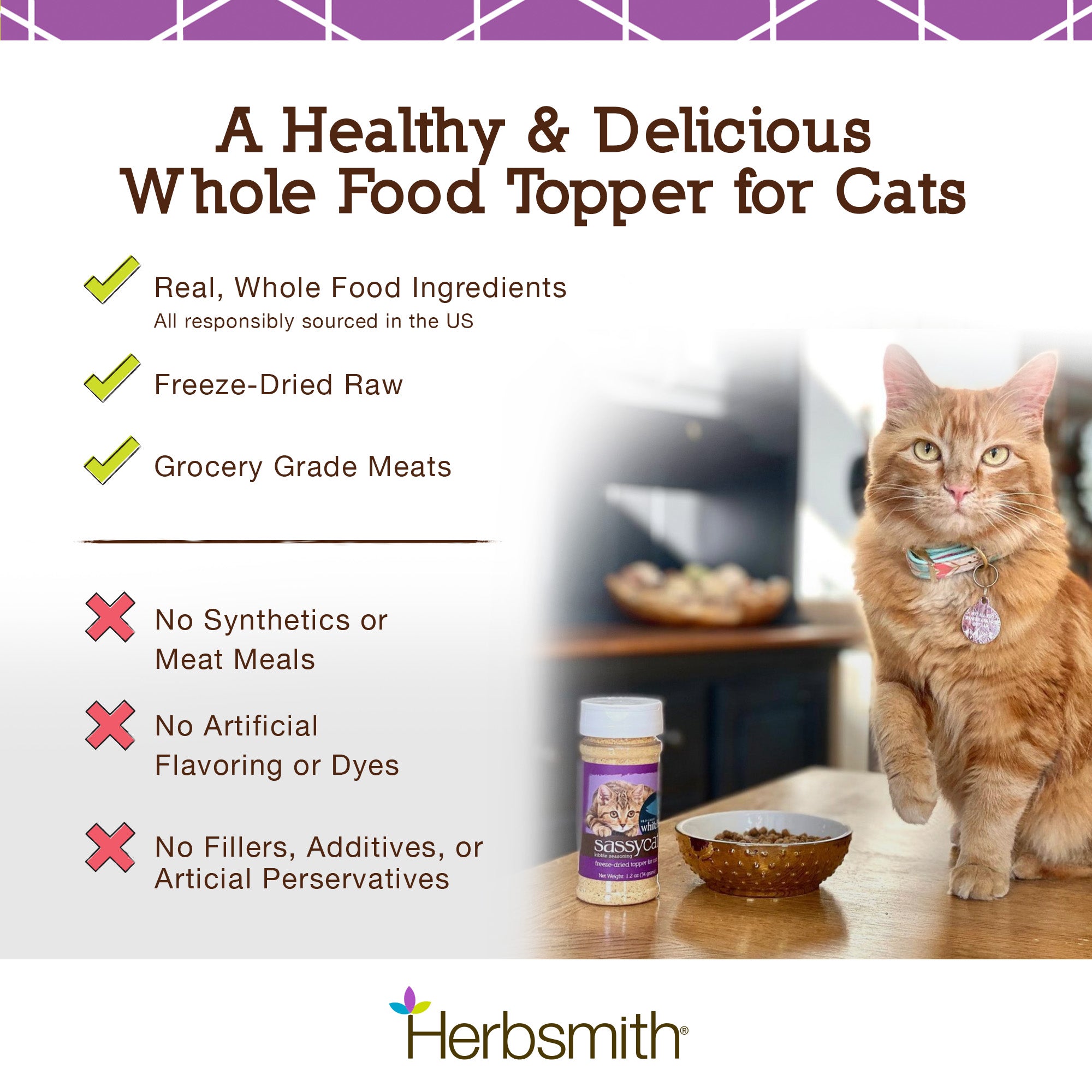 Sassy Cat Kibble Seasoning