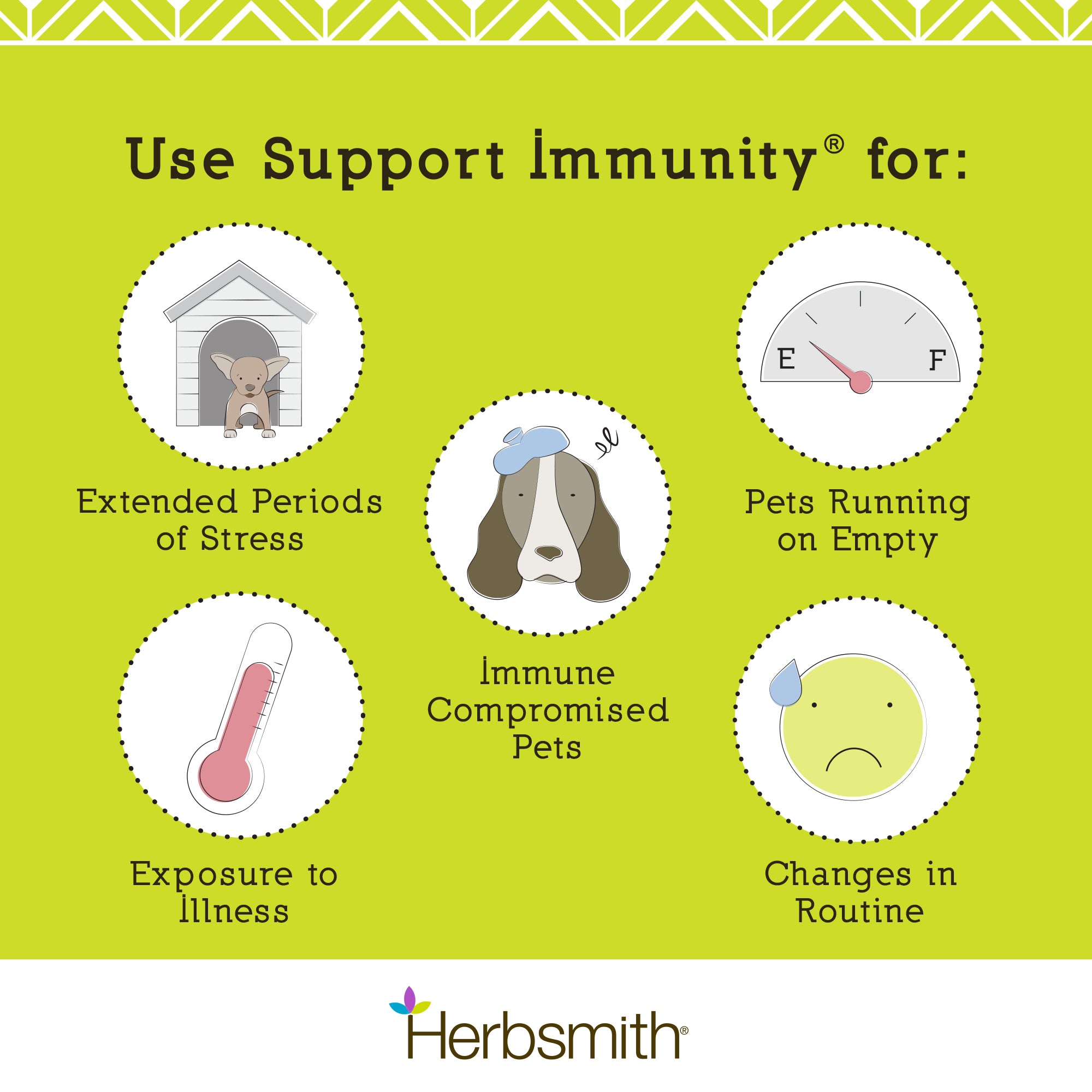Support Immunity