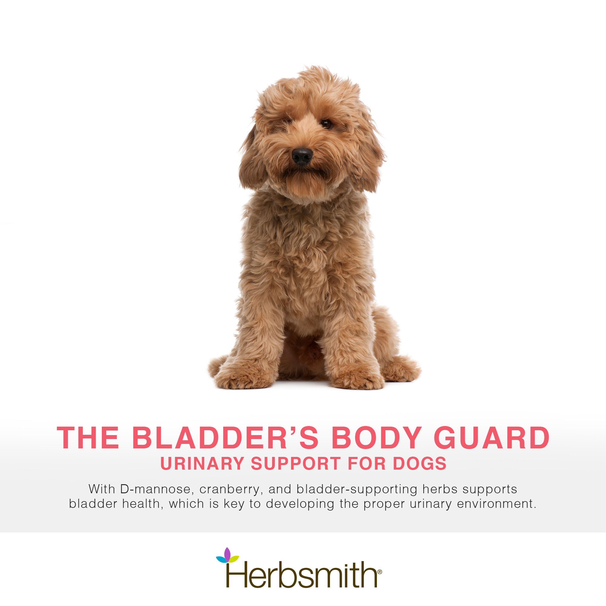 Bladder Care