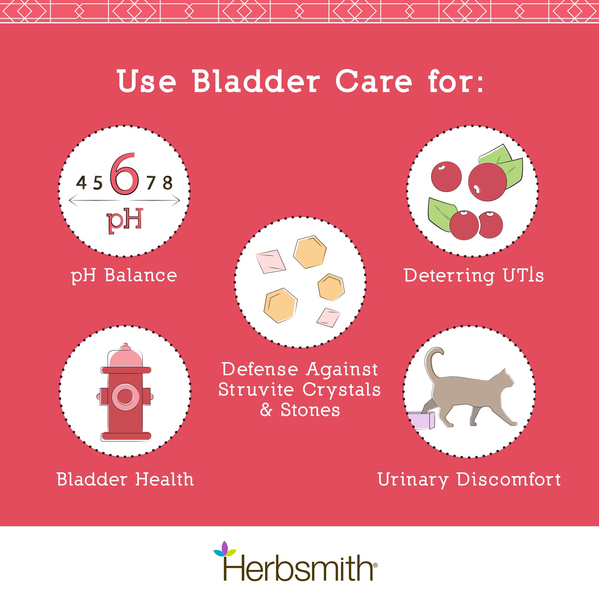 Bladder Care