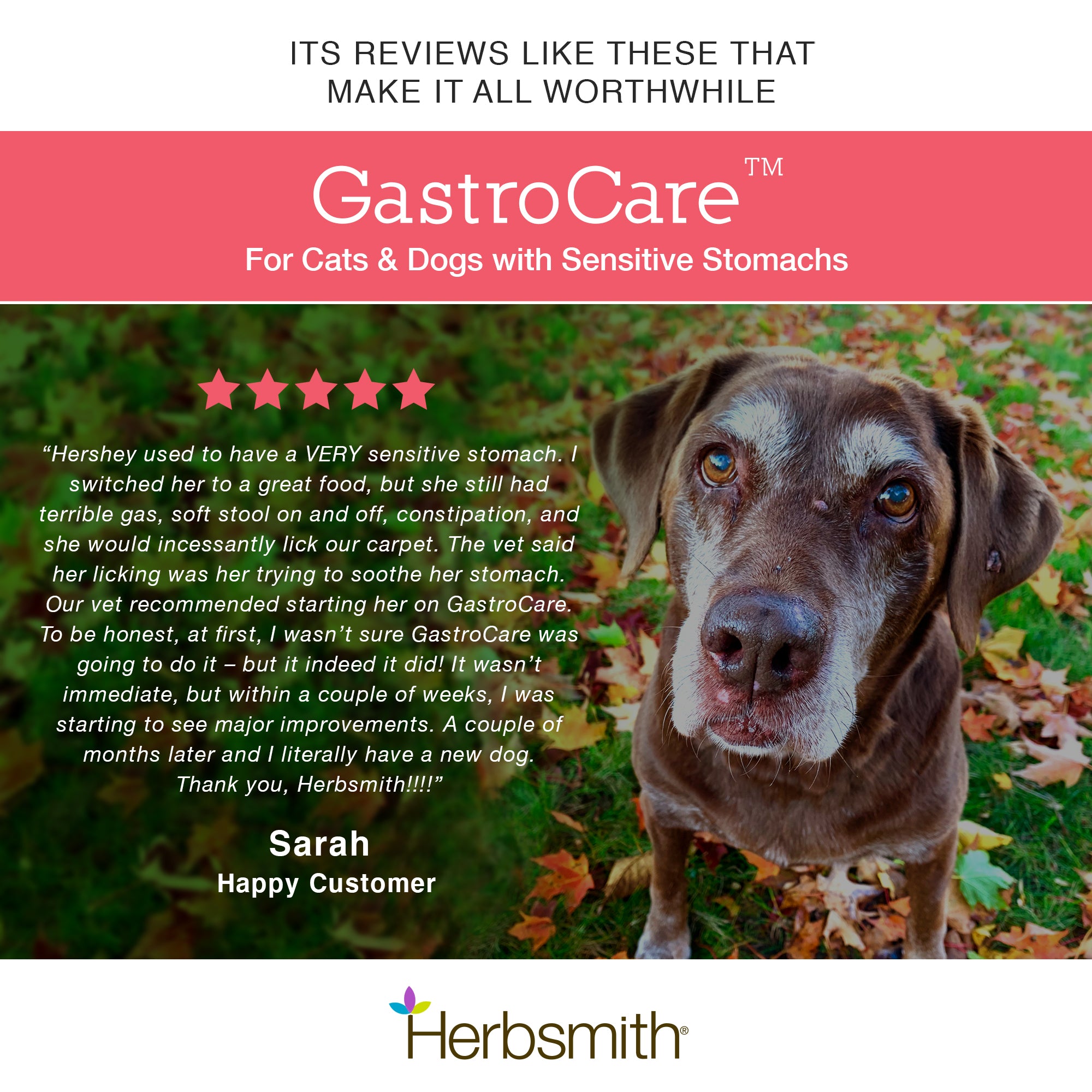 GastroCare