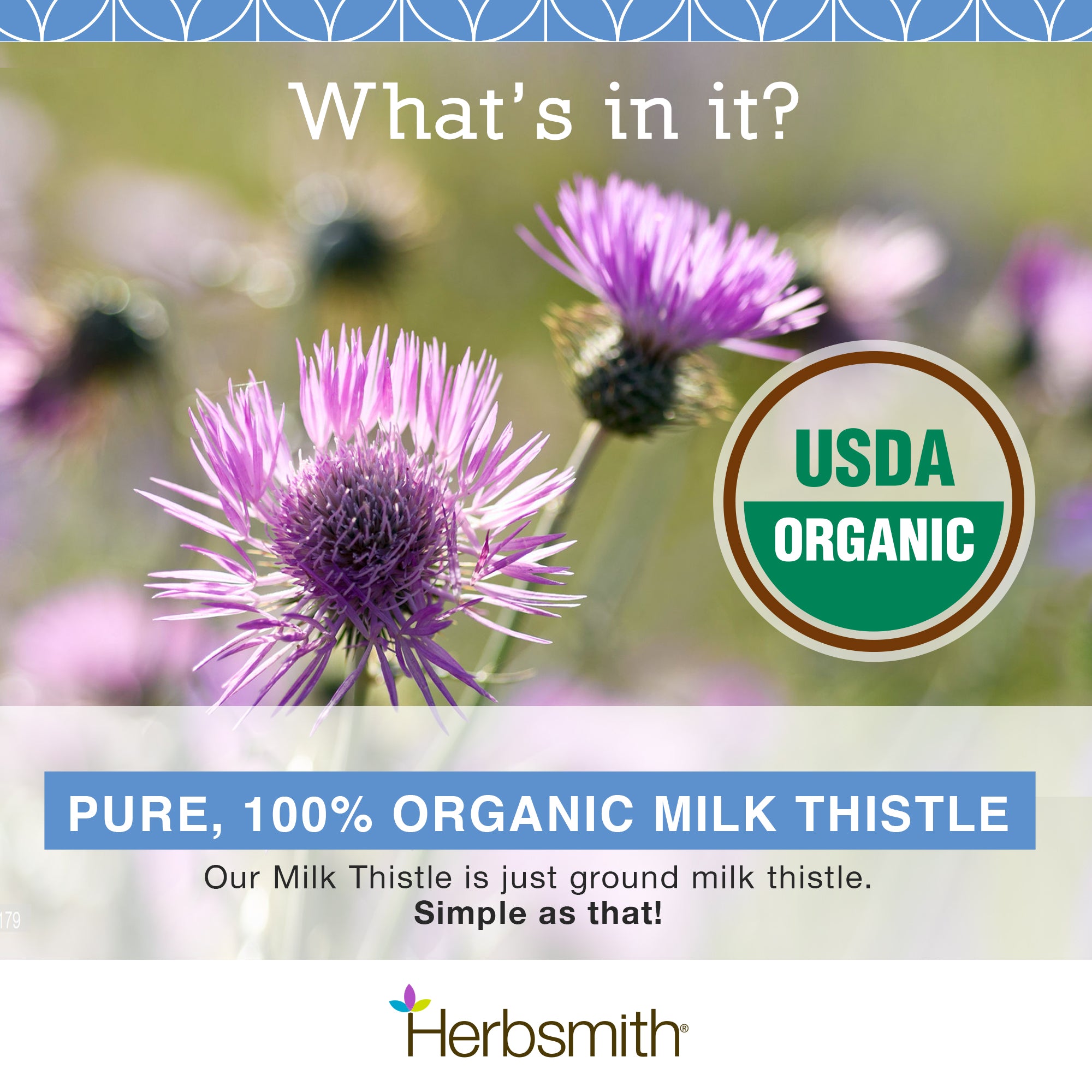 Milk Thistle