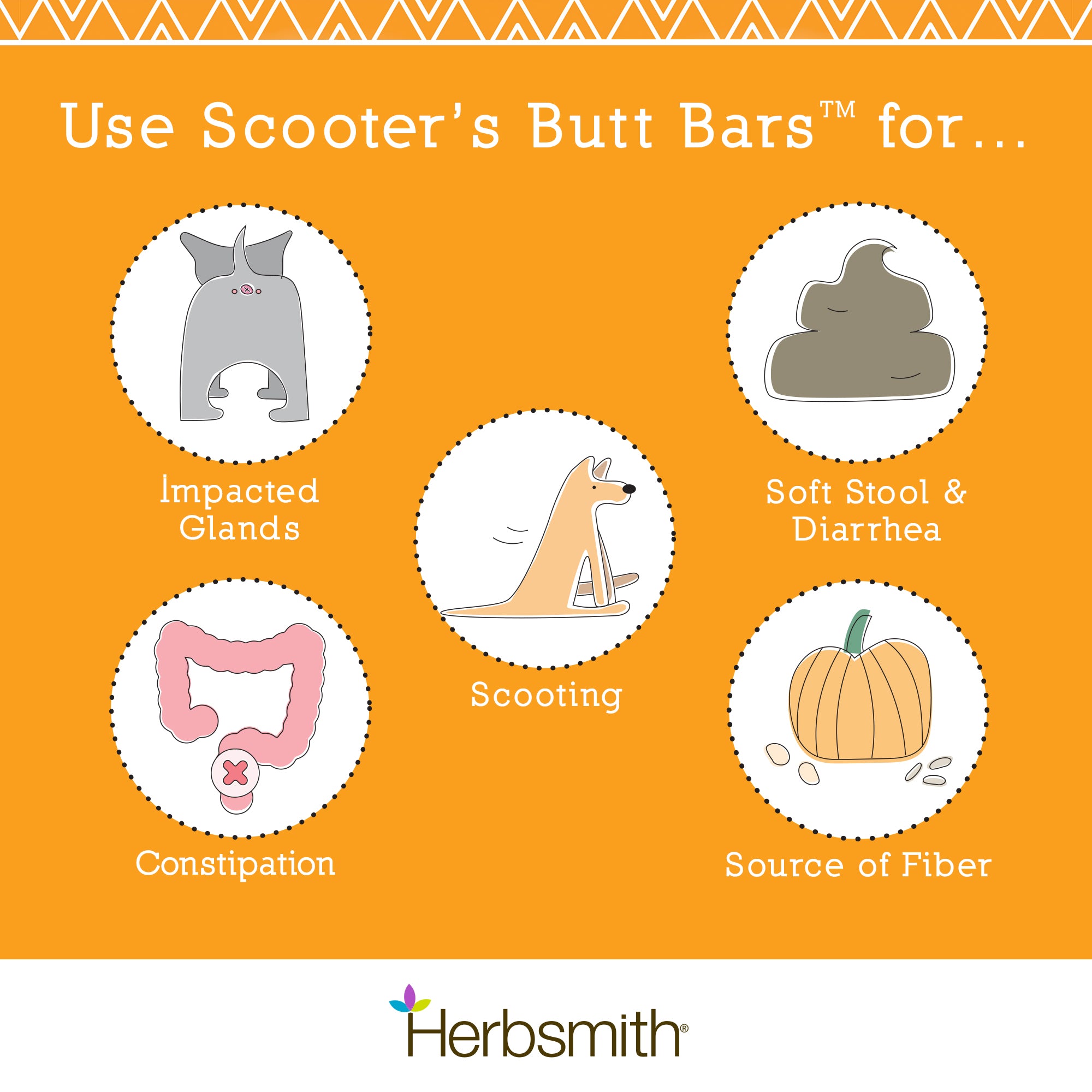 Scooter's Butt Bar