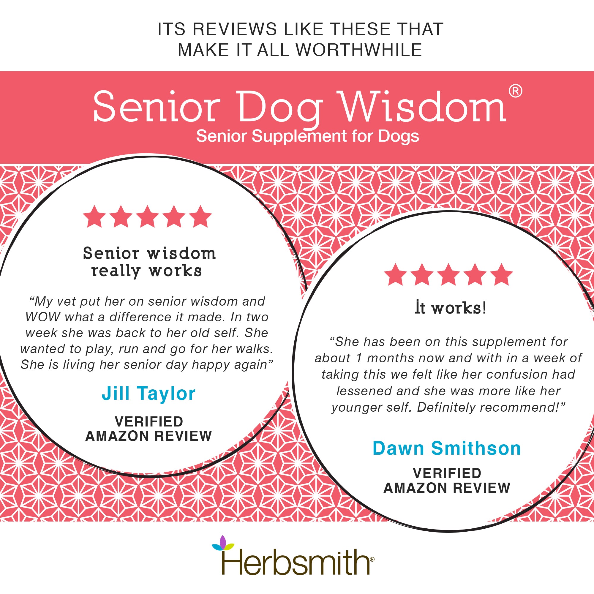 Senior Dog Wisdom