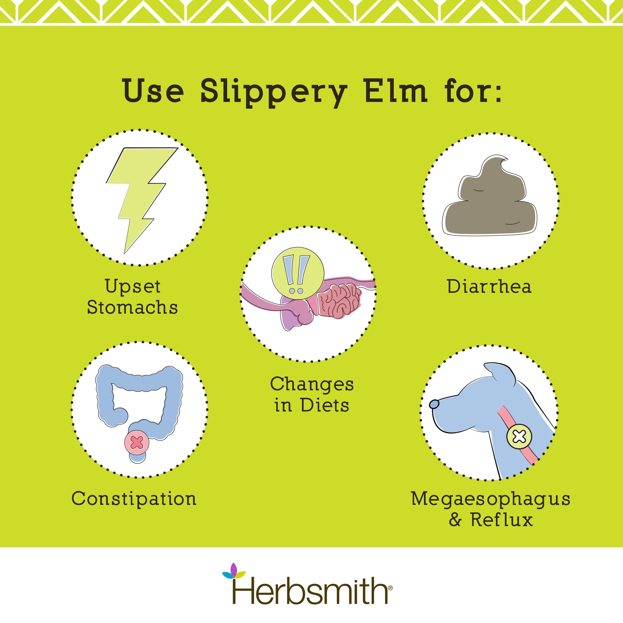Slippery Elm