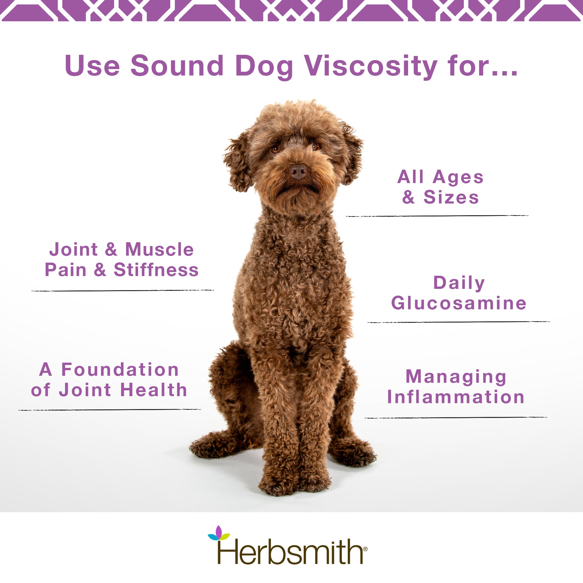 Sound Dog Viscosity