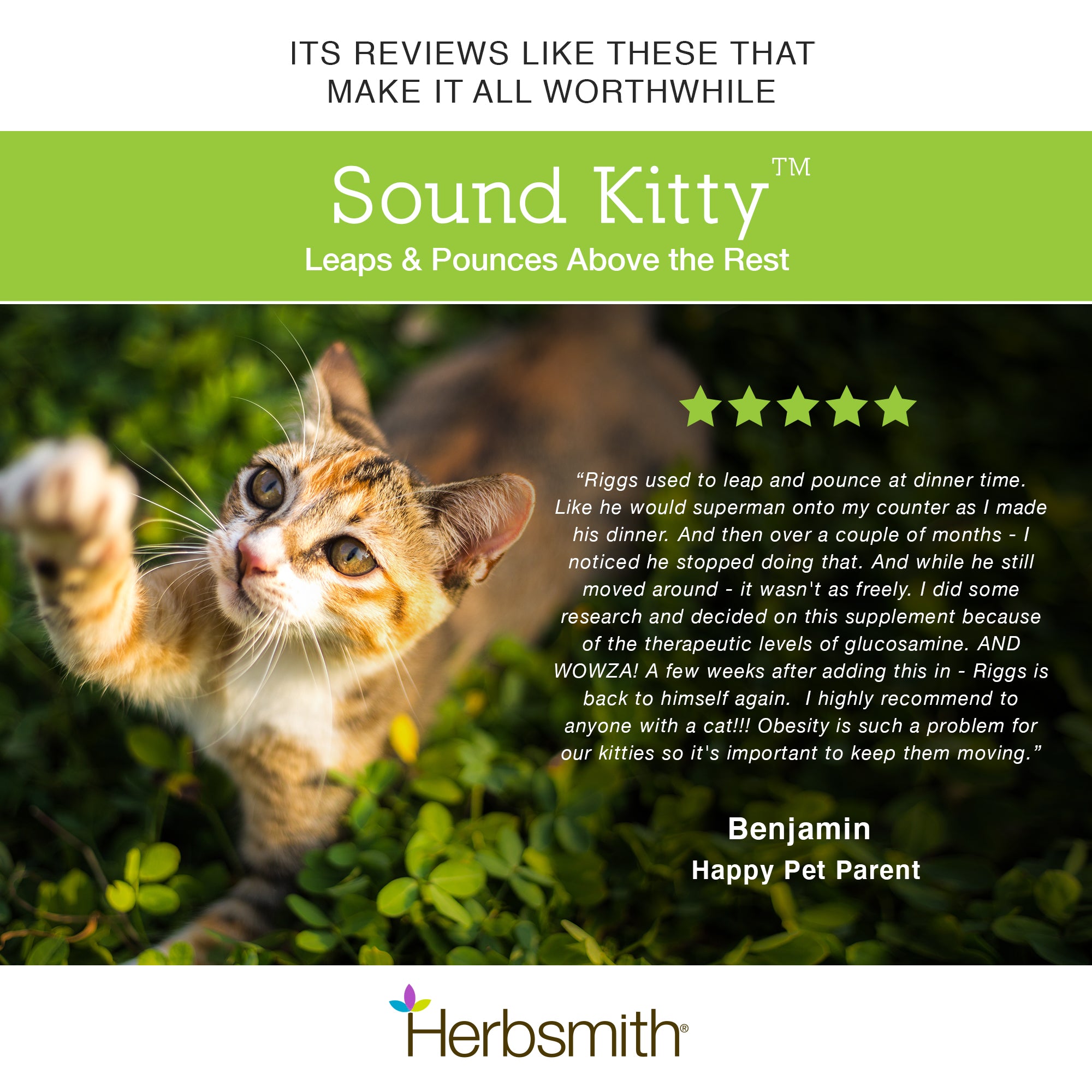 Sound Kitty