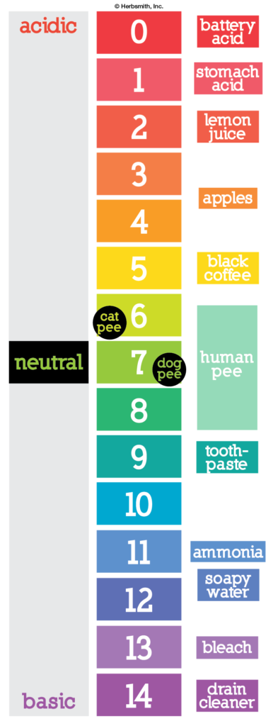  What Causes Low Ph In Dog Urine 