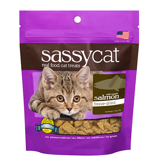 550_Sassy Cat_salmon